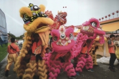 D013